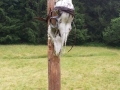 Fortgeschrittenenkurs13