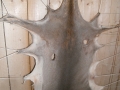 Ledergerben_web05