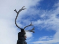 Norwegen_adv_28
